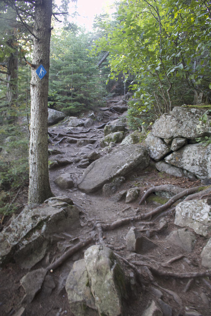 Un sentier, aménagé dans un terrain rocailleux, monte.