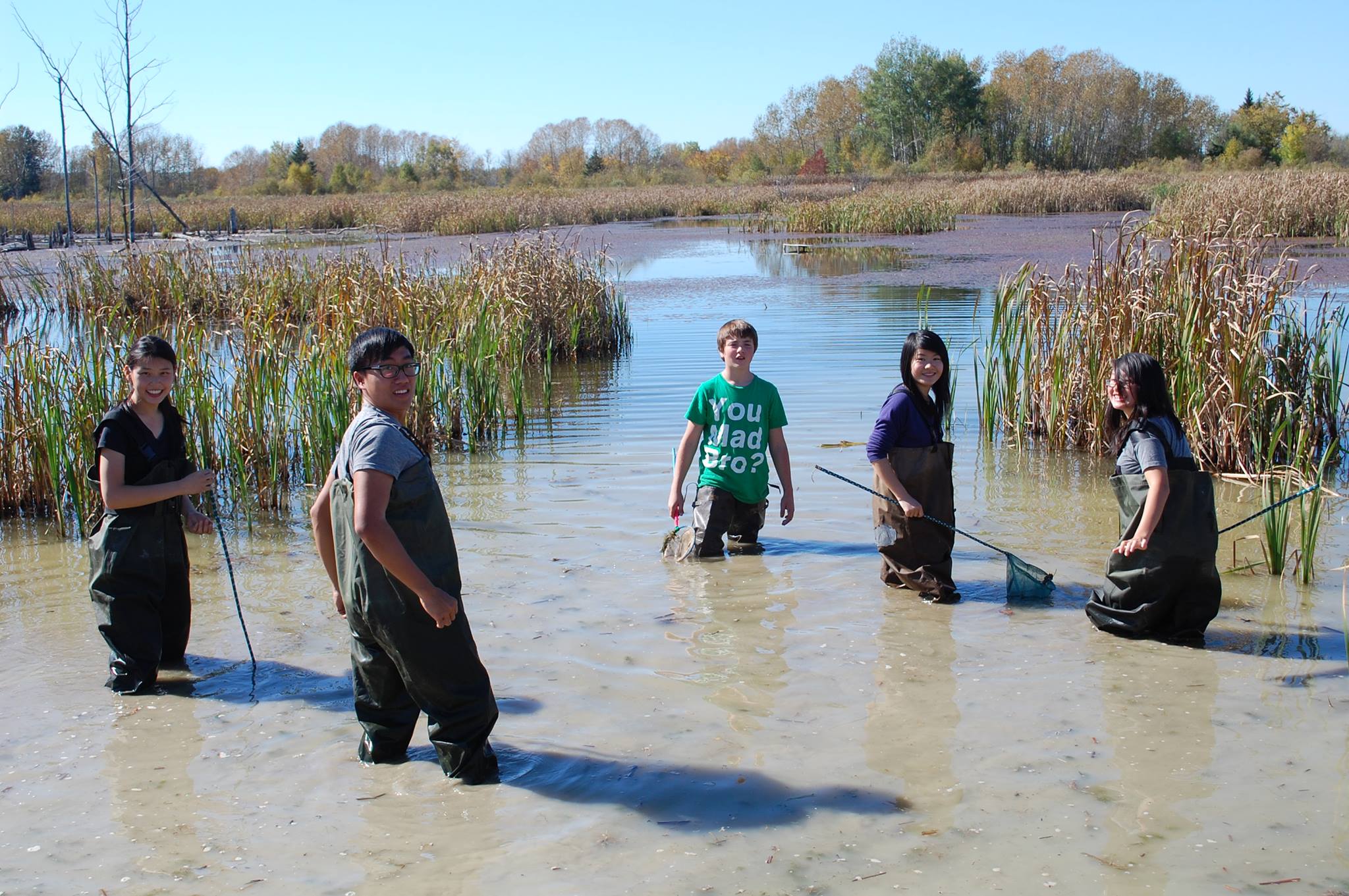 Un groupe d'étudiantes et d'étudiants se tiennent dans le marais avec des filets.
