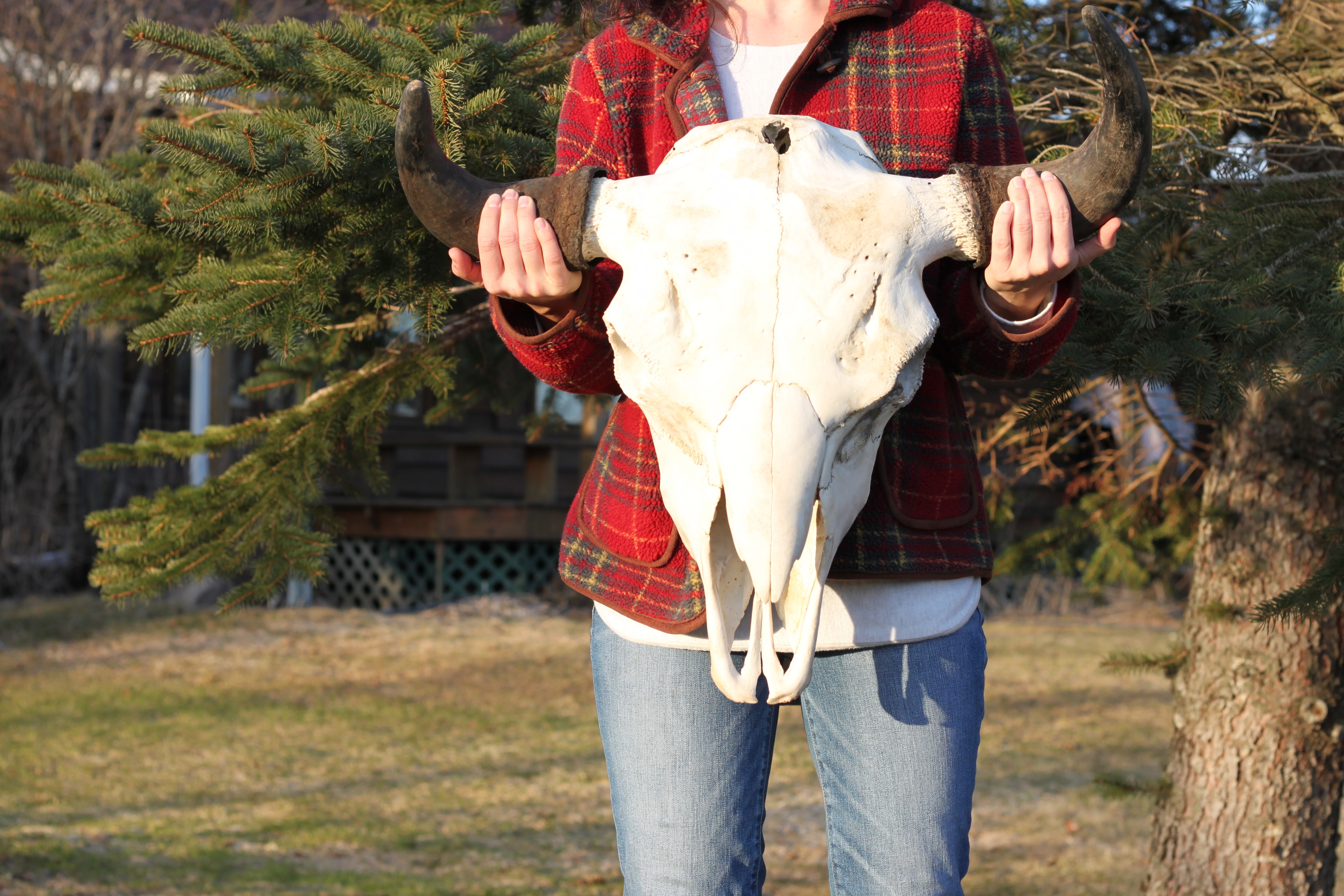 Une femme vêtue d'une veste à carreaux tient un crâne de bison
