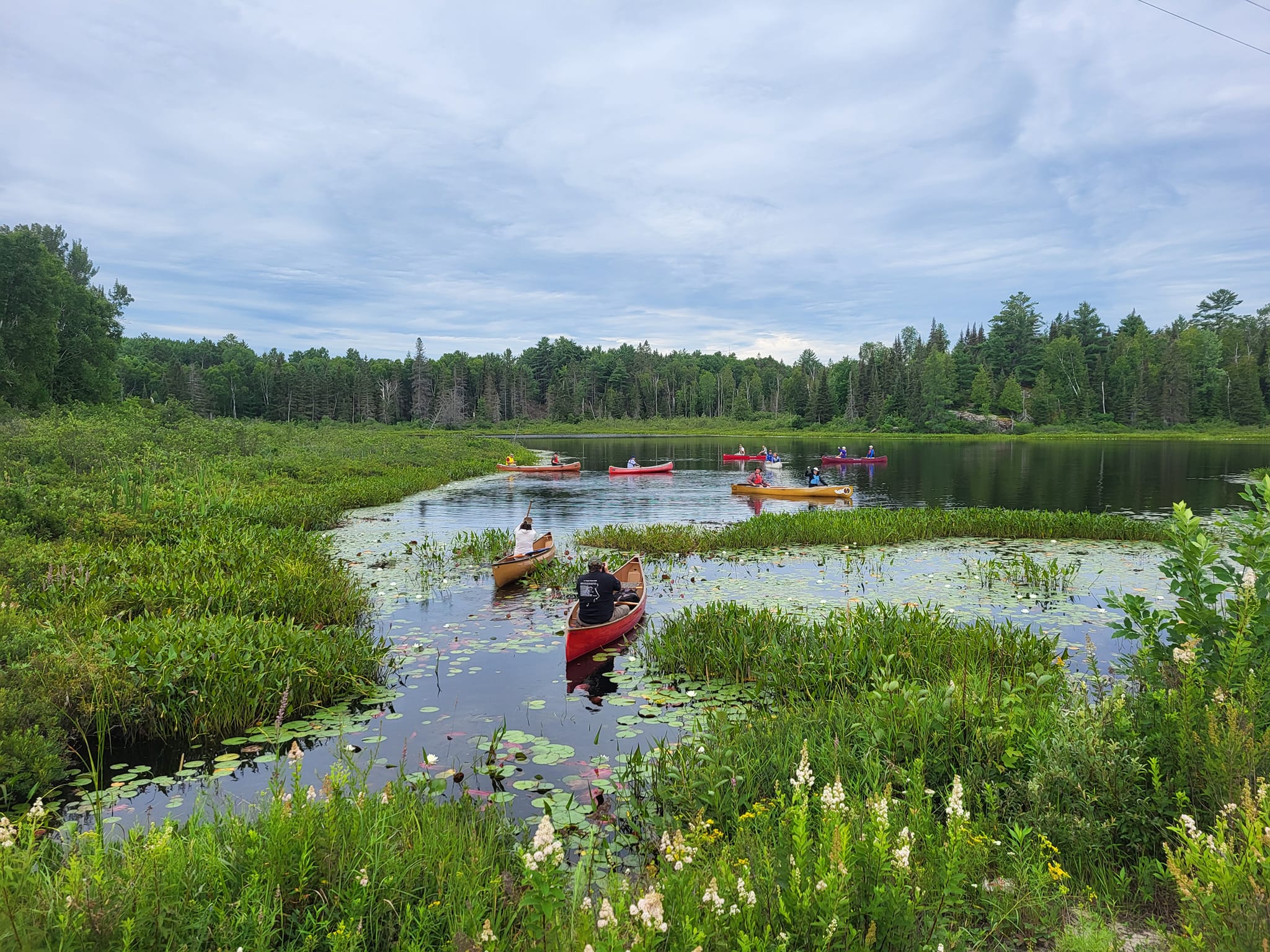 Red canoes paddling down a green waterway.