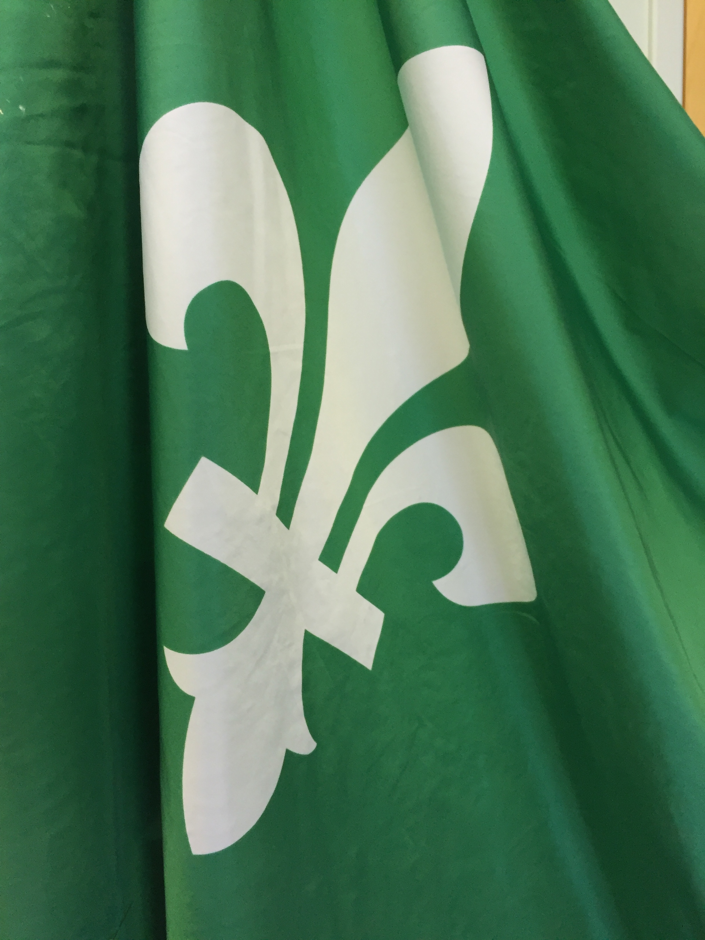 Le lys du drapeau franco-ontarienne apparaît, en blanc sur vert. Hors champs, on retrouvera, sur le pan droit du drapeau, un trille vert sur fond blanc.
