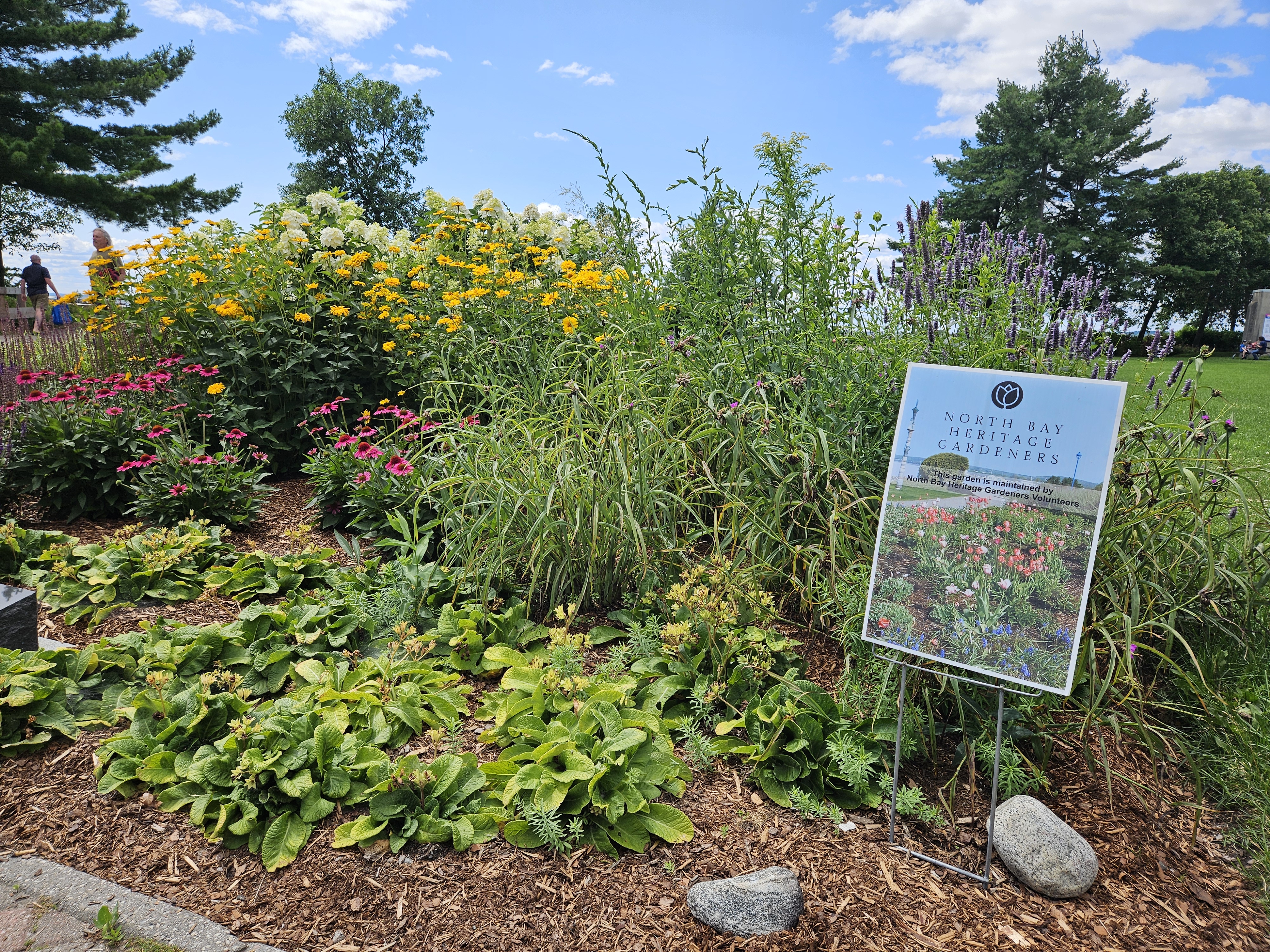 A huge blooming flowerbed filled with a variety of plants and a sign that reads "North Bay Heritage Gardeners".
