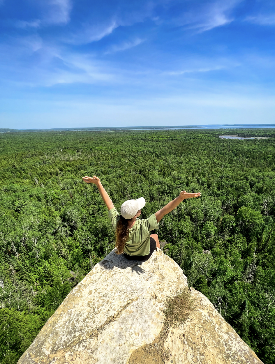 Kress Van Erp on the Cup and Saucer