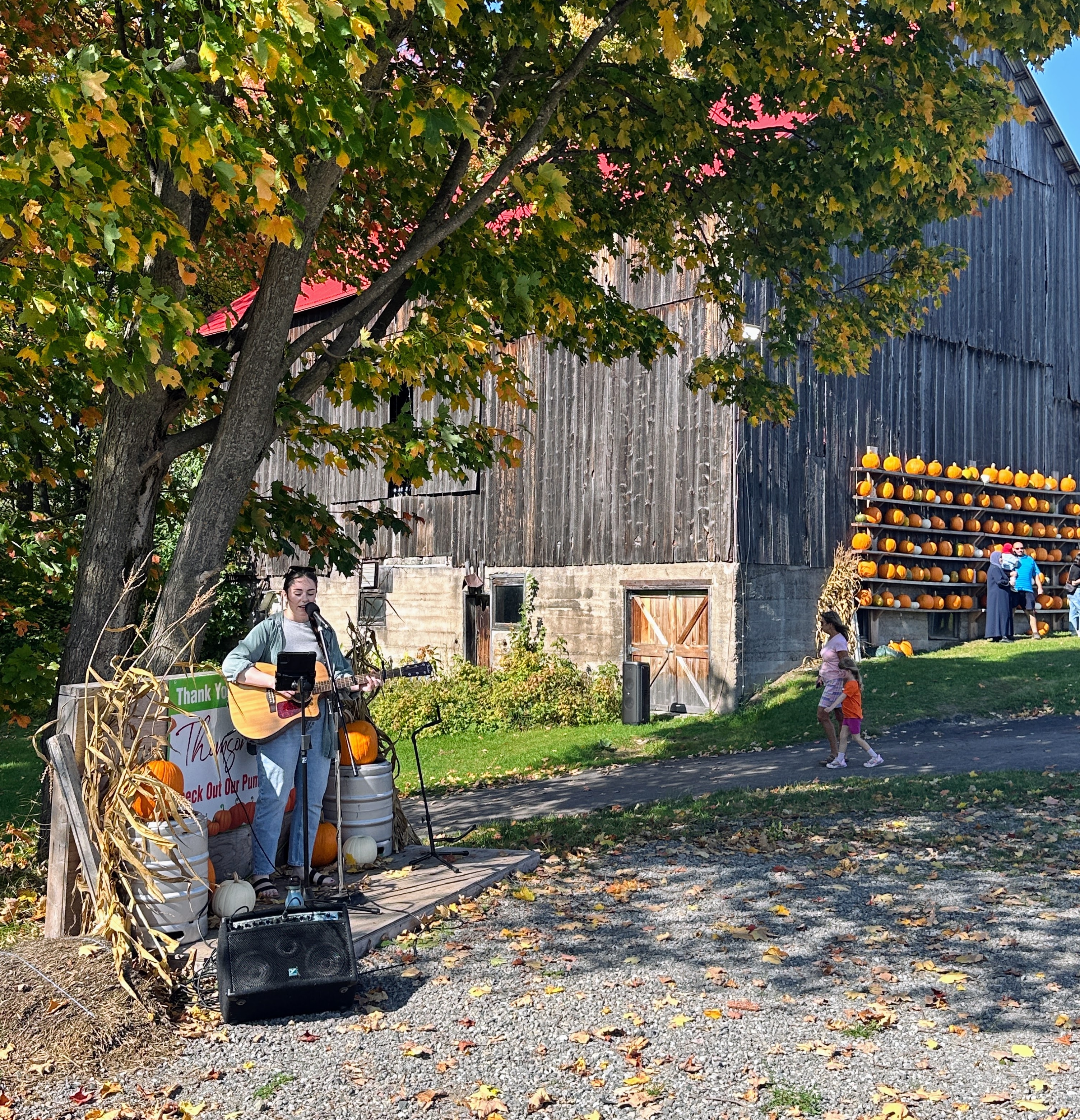 Geneviève André chante avec sa guitare en plein air à Thompson Farms Sault Ste-Marie par une journée ensoleillée d'automne.