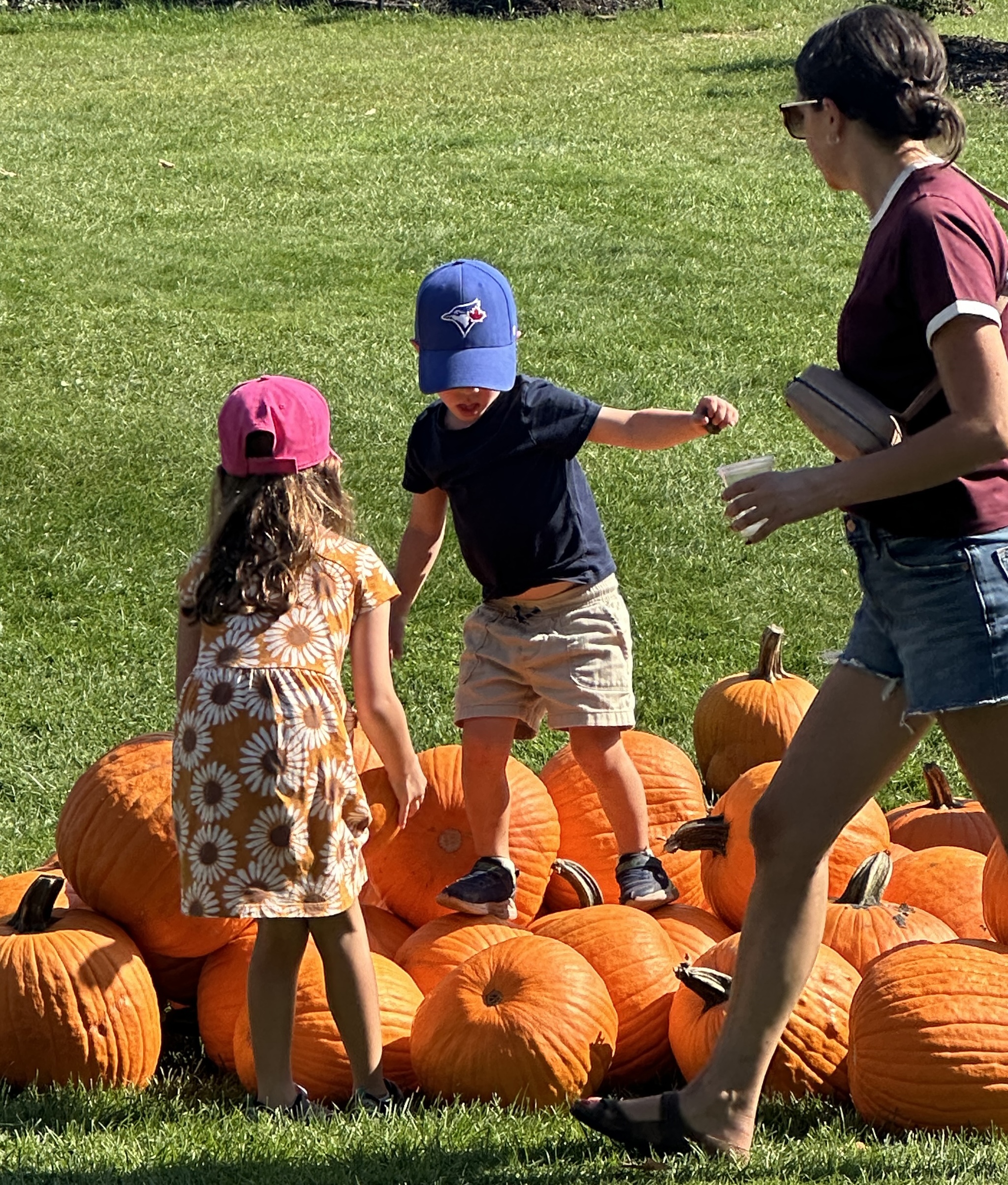 deux p'tits enfants marchent sur un tas de citrouilles orange vif à Thompson Farms.