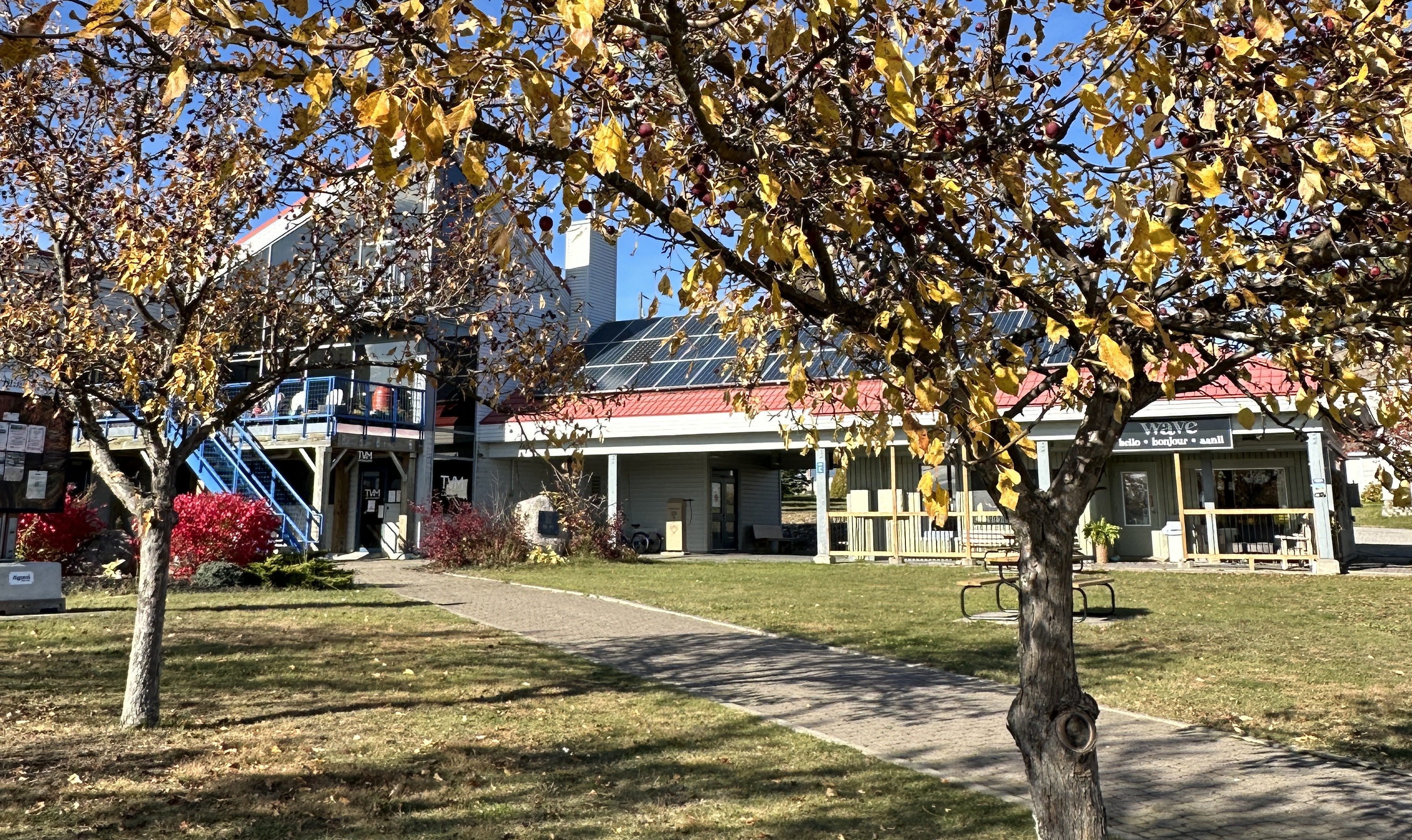 un édifice moderne avec un haut toit de verre en pente et des arbres d'automne qui l'entourent.