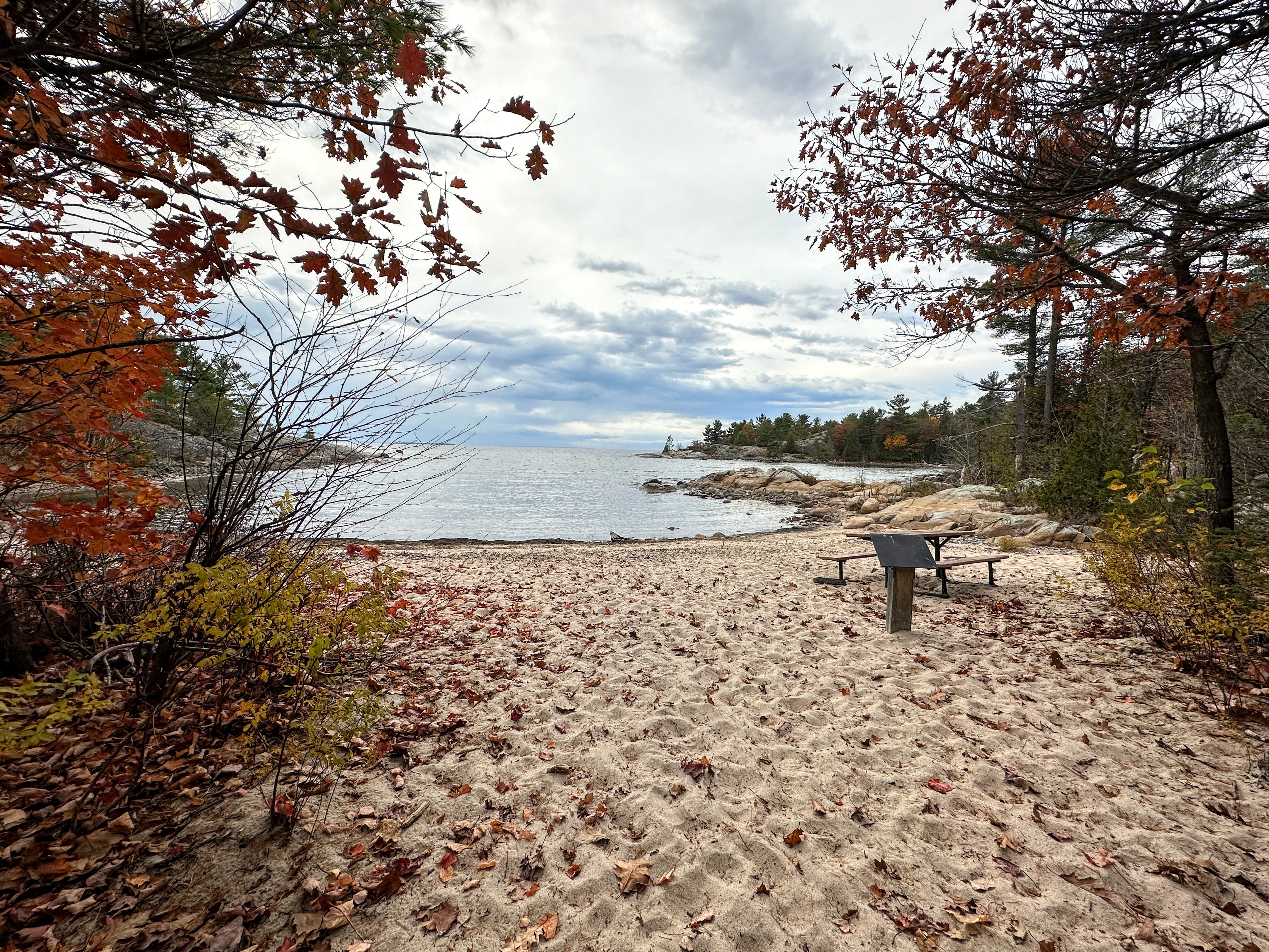 Une magnifique plage de sable fin ombragée par une forêt d'automne, le long d'une rivière paisible par une journée ensoleillée.