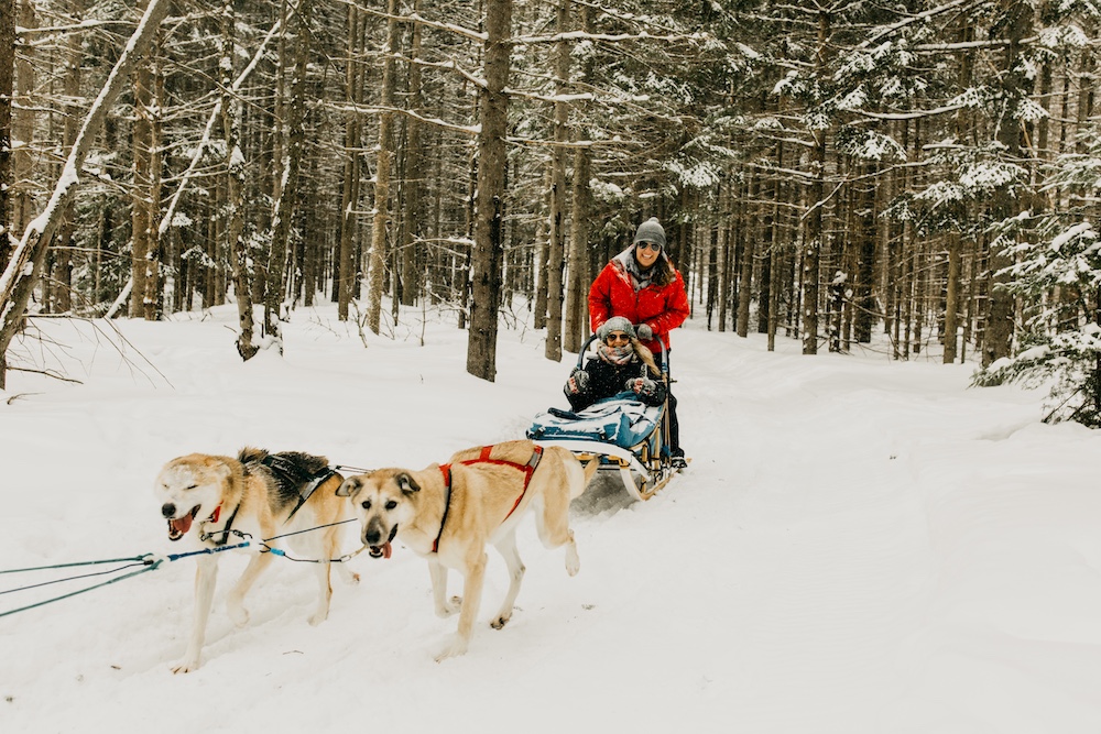 Dogs pulling sled with two people on it