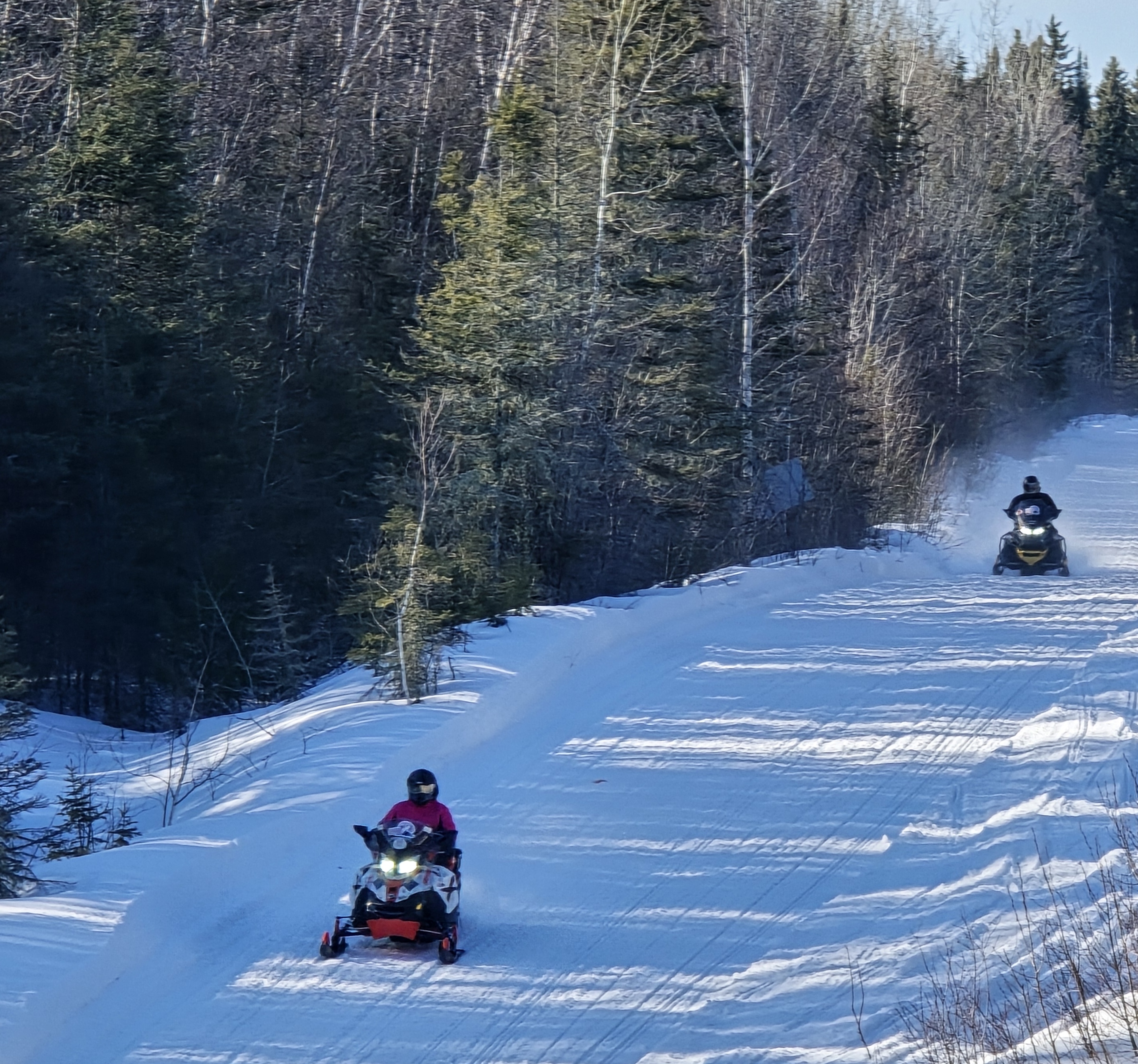 Deux motoneiges avancent sur un sentier large, dans la forêt.