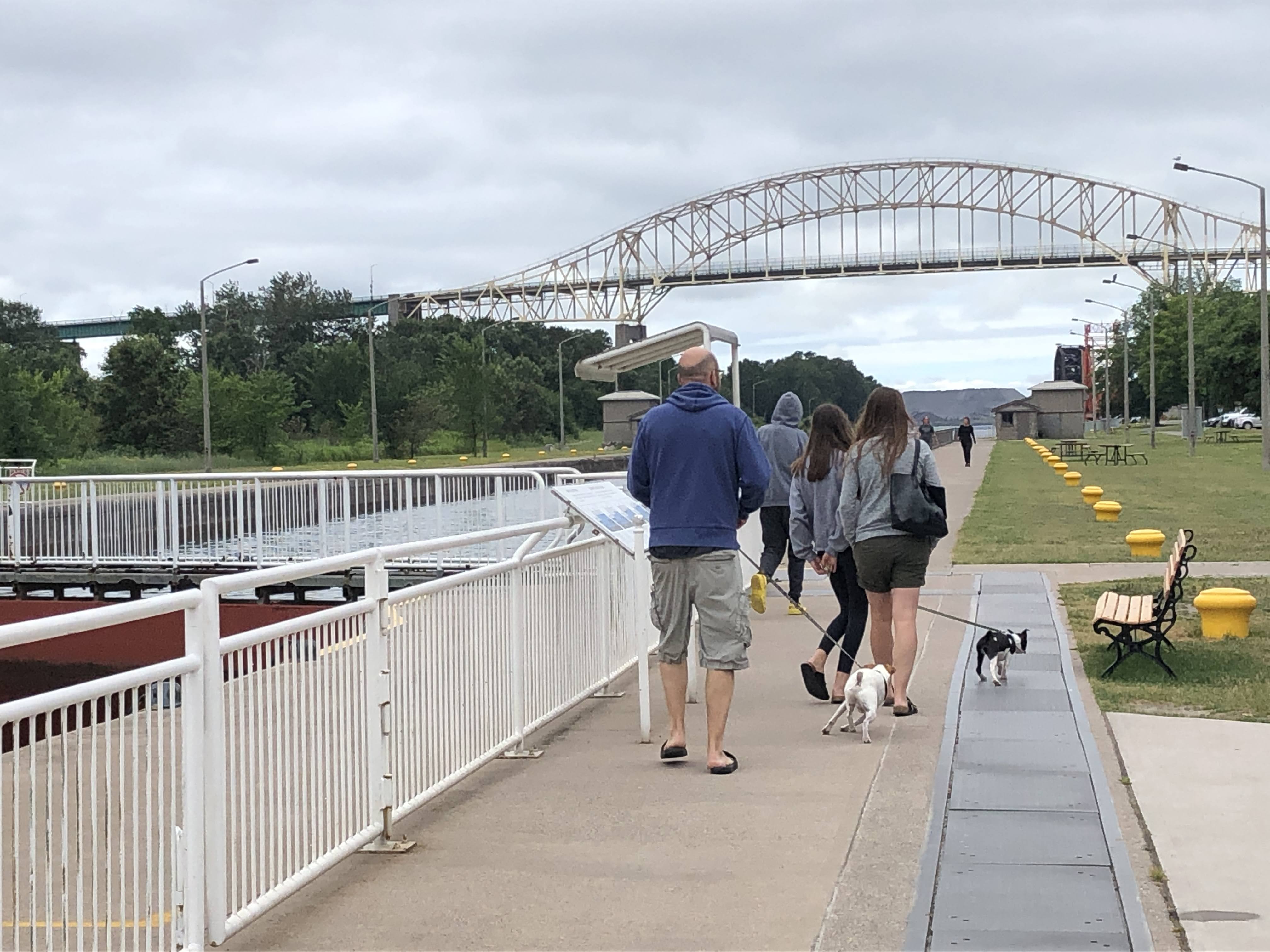 Un pont piétonnier est aménagé pour se rendre à l'île Whitefish.