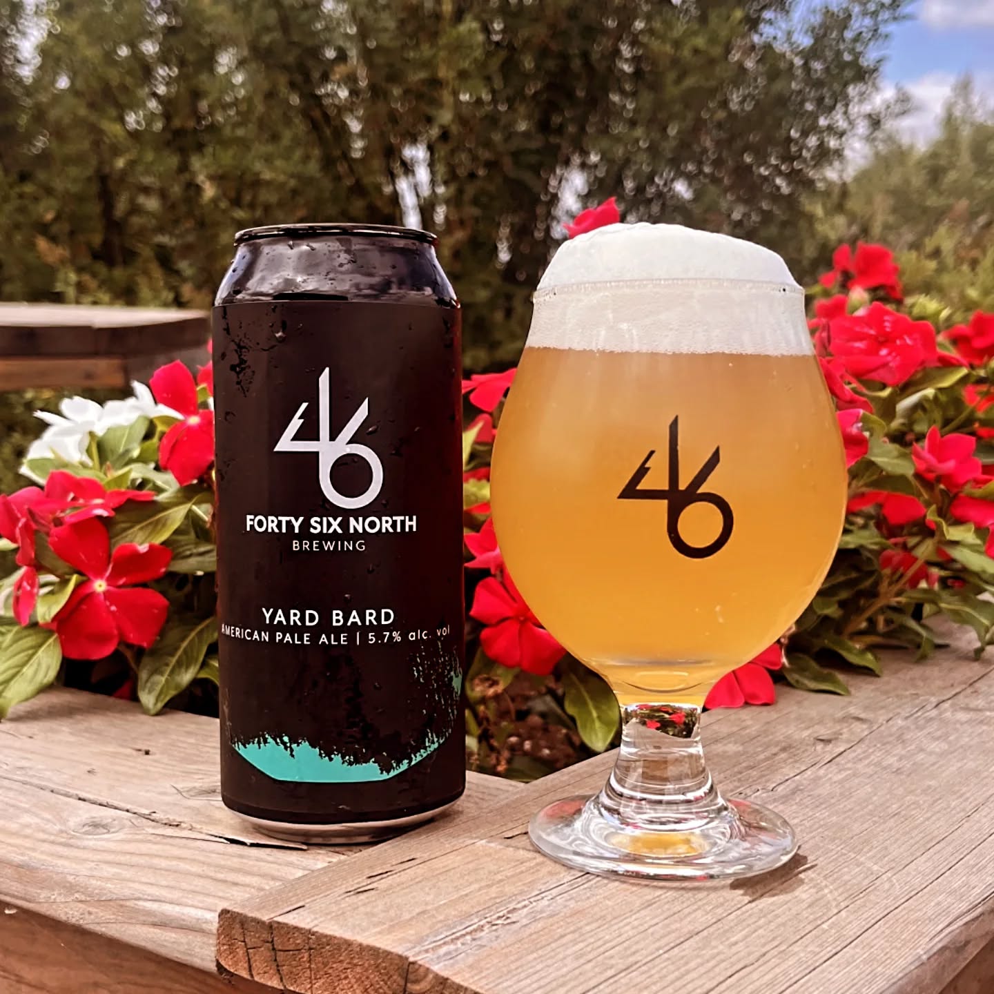 Une canette et un verre de bière étiquetés « 46 North Brewing » sont posés à l'extérieur, sur une terrasse entourée de fleurs, par une journée d'été.
