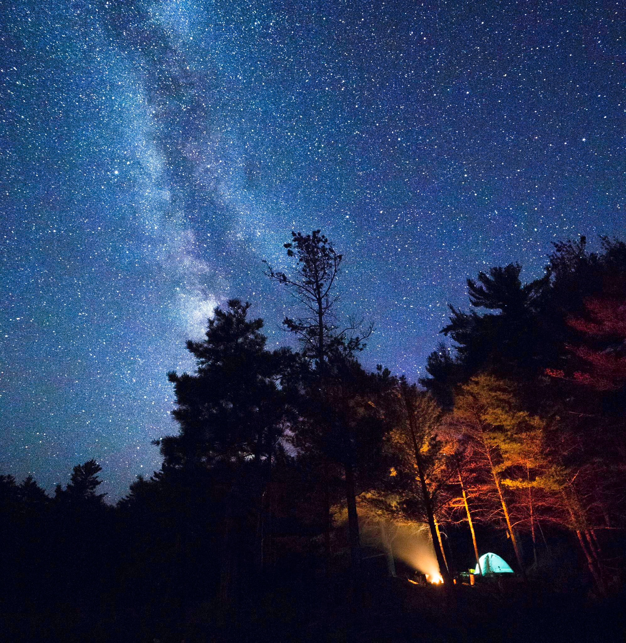 Une petite tente, illuminée de l'intérieur, se dresse dans une forêt sombre du parc de Point Grondine. Le ciel nocturne est entièrement constellé d'étoiles.