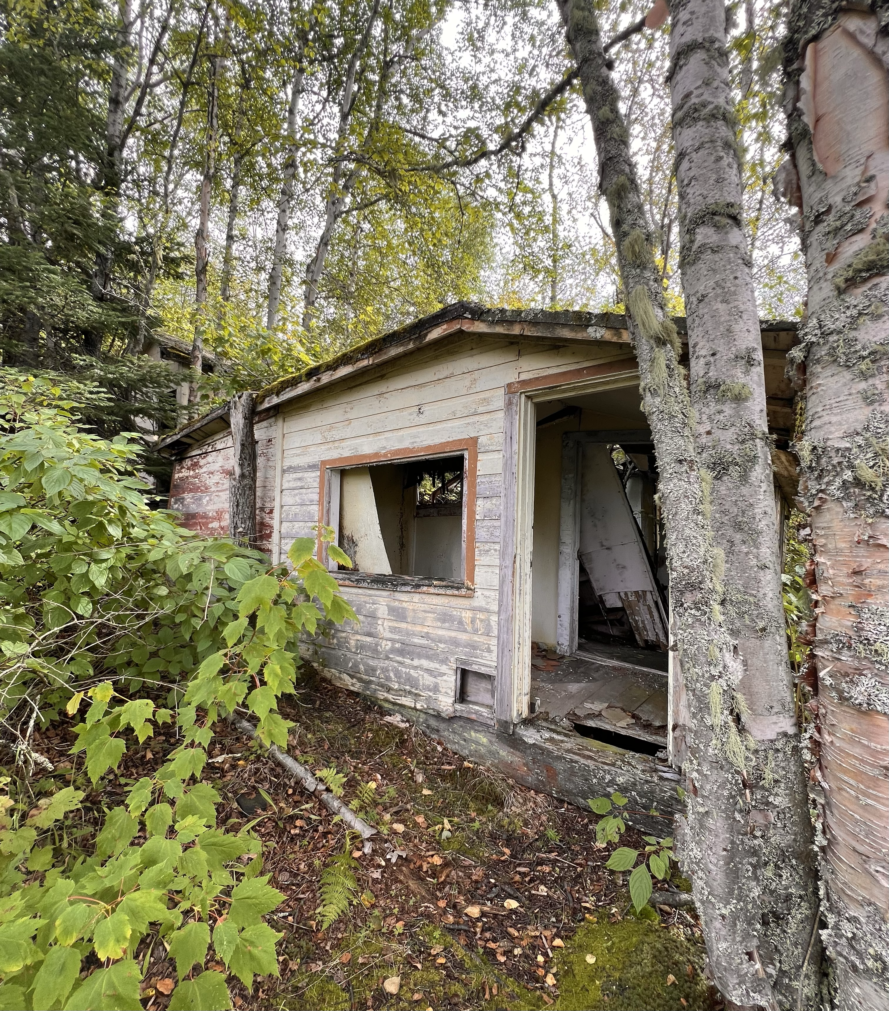 Un bâtiment en bois délabré et abandonné, complètement entouré par la forêt à Jackfish, en Ontario.