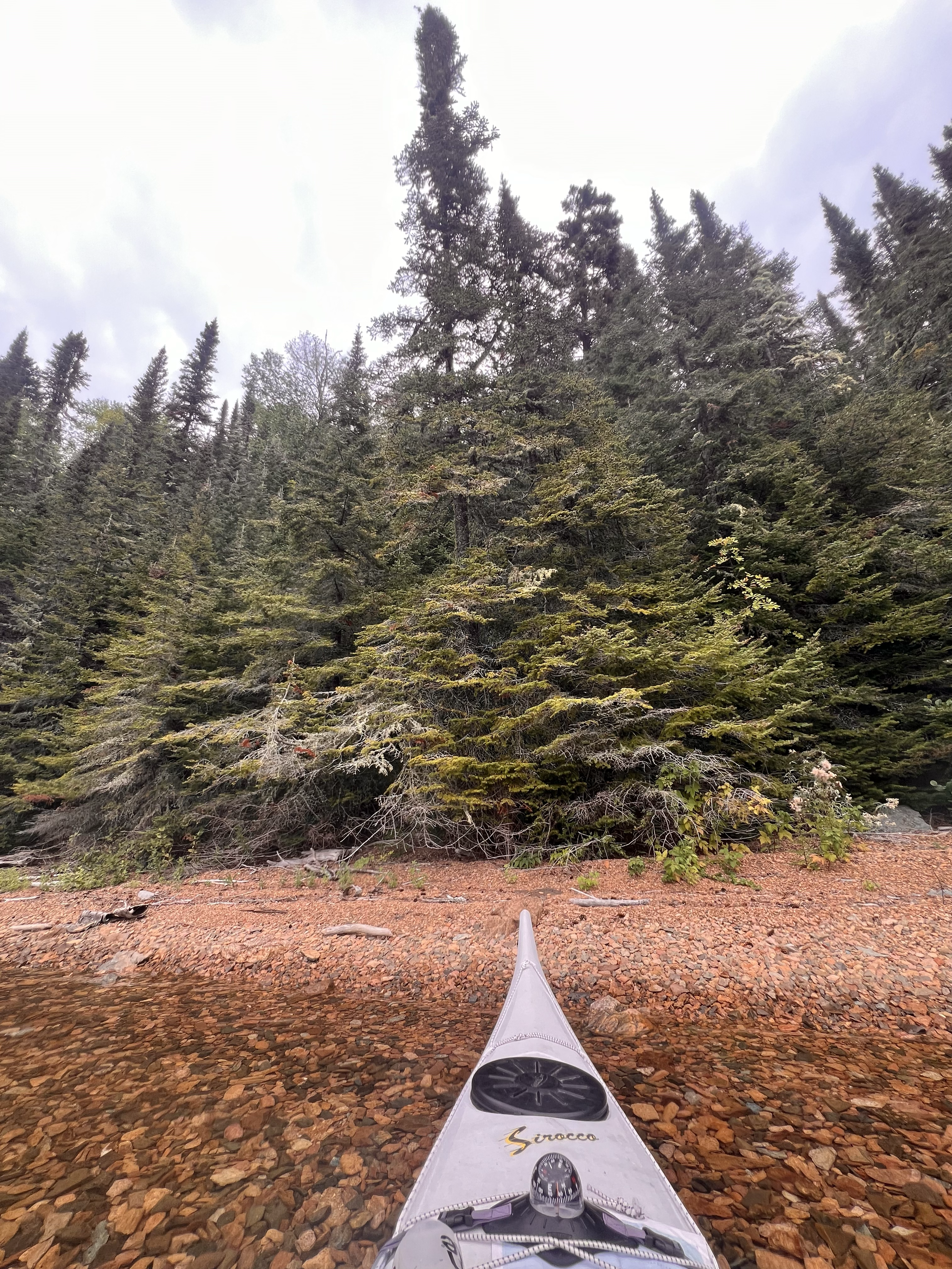 Un kayak pointait vers une plage de sable rouge bordée d'un épais bosquet de cèdres.