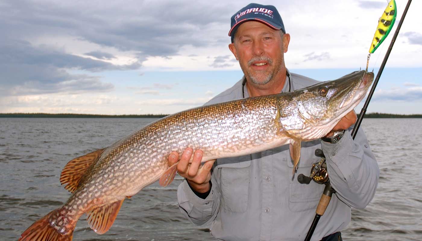 411_markromanack_pike.jpg 411_markromanack_pike.jpg
