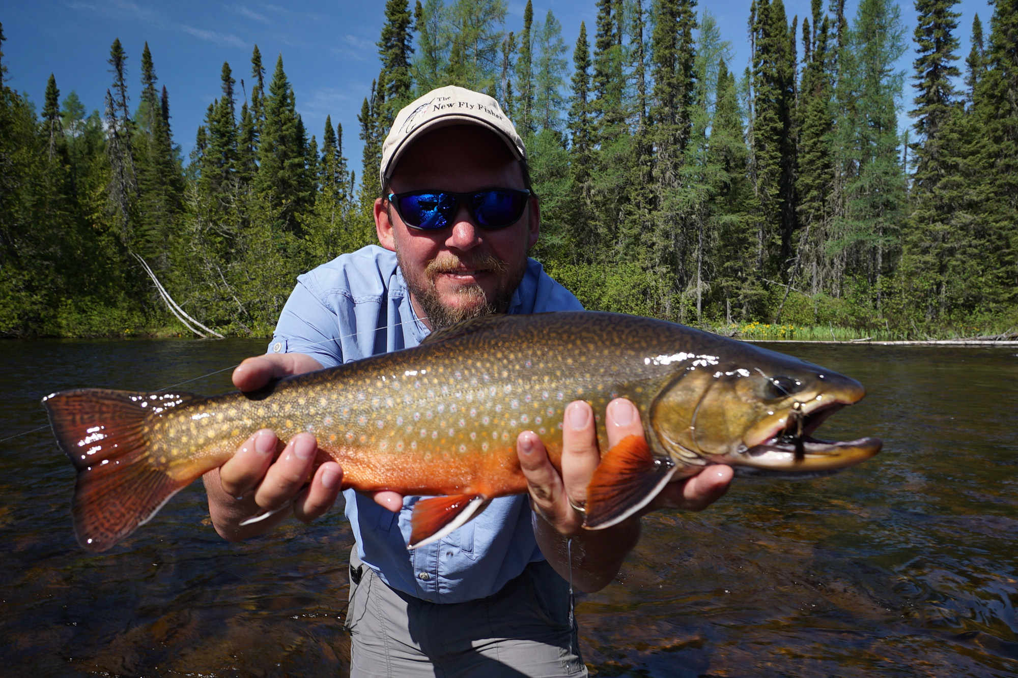 brook-trout-nagagami-algoma.jpg brook-trout-nagagami-algoma.jpg