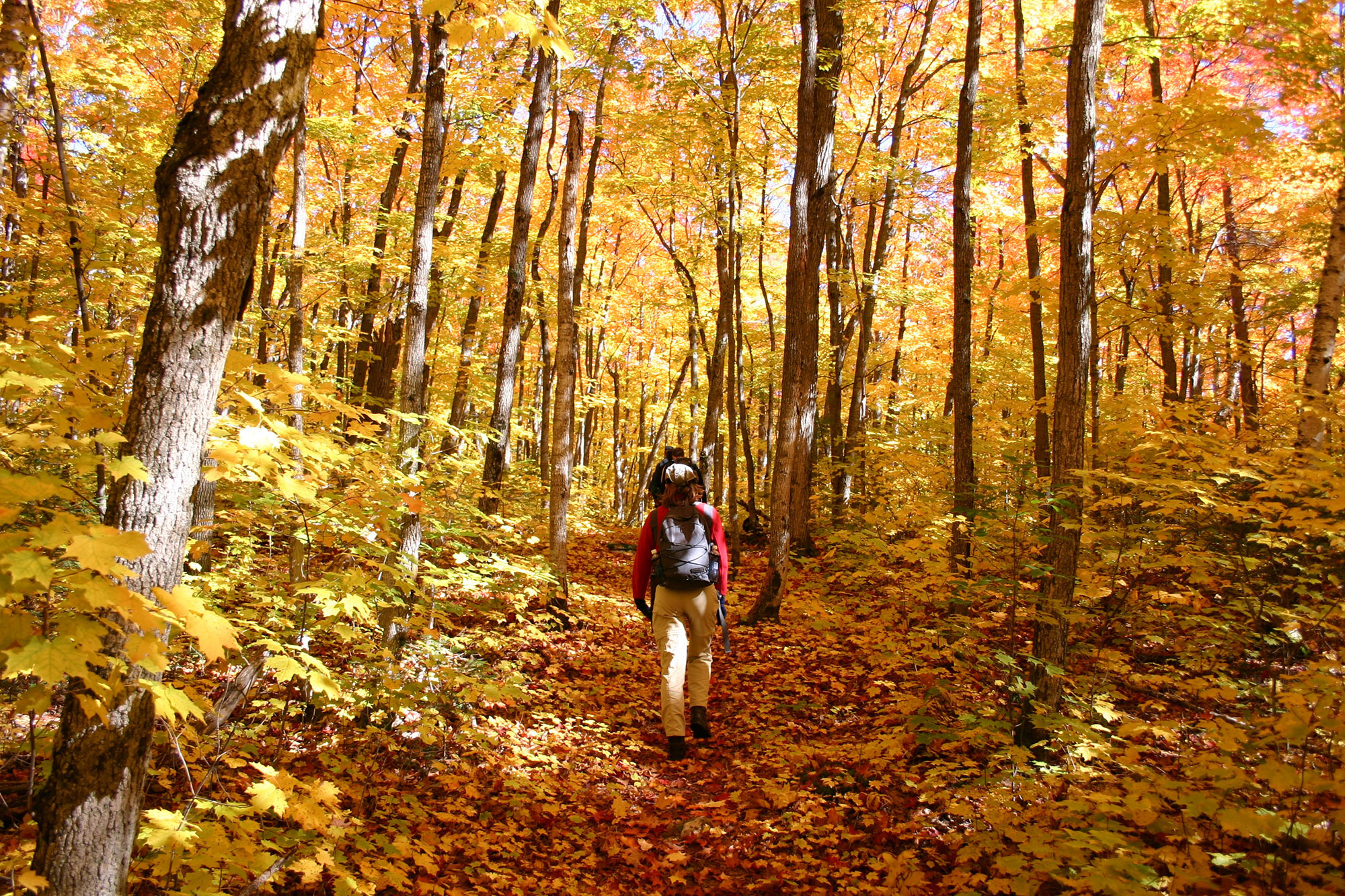 fall-hiking-algoma-holly-witteman.jpg fall-hiking-algoma-holly-witteman.jpg