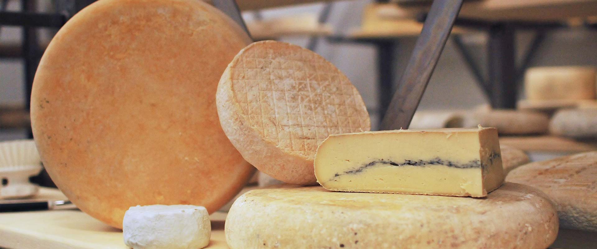 fromageriekap_cheesewheels.jpg fromageriekap_cheesewheels.jpg