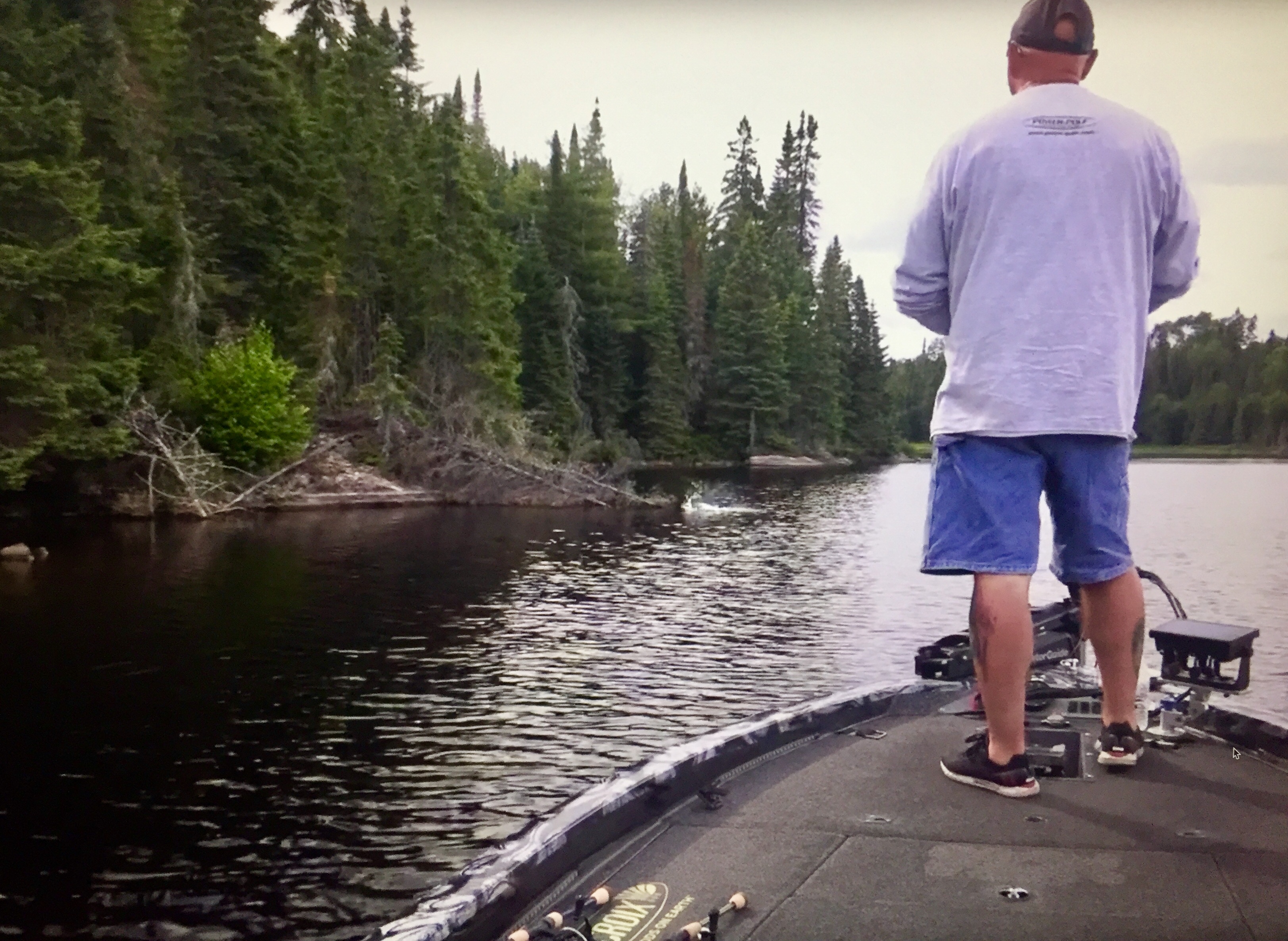 onaping_bass strike.jpg