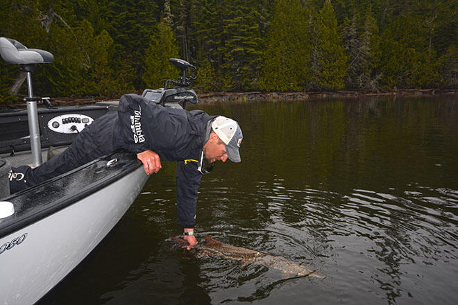 markromanack 411fishing northernpike pymisland