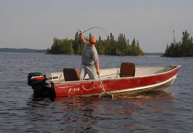 fishing 411 walleye jigs