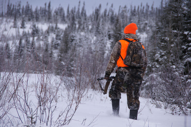 Hunting moose