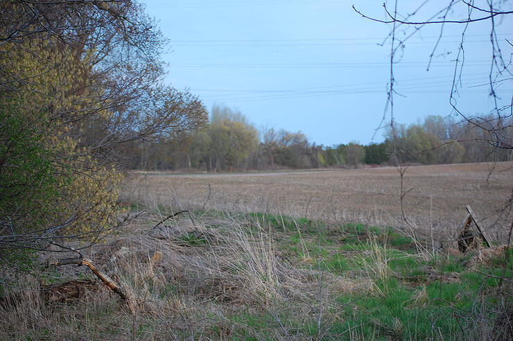 field in brant county ontario