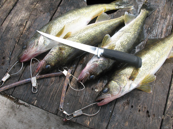Some beautiful catches