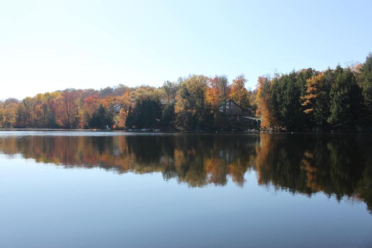 cottage and fall colour trees on serene lake