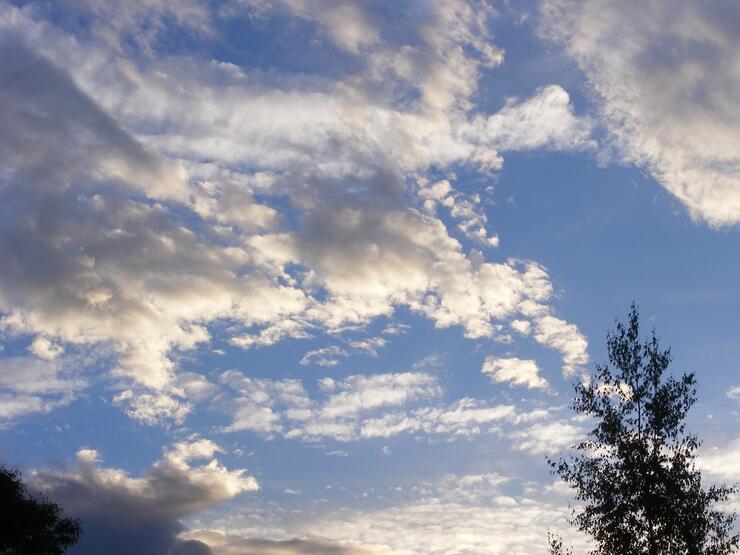BLUE SKY