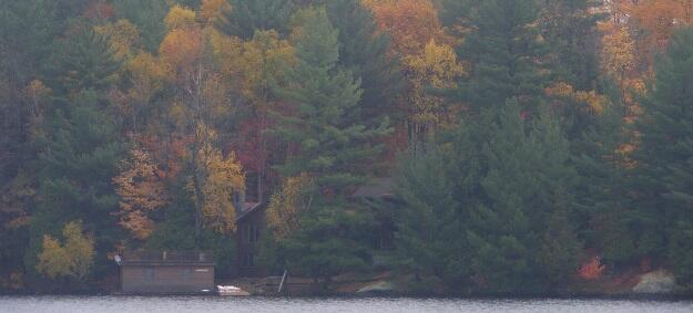 October 24 fall colours resized 630