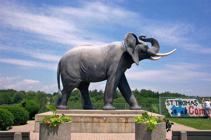 St. Thomas Elephant 