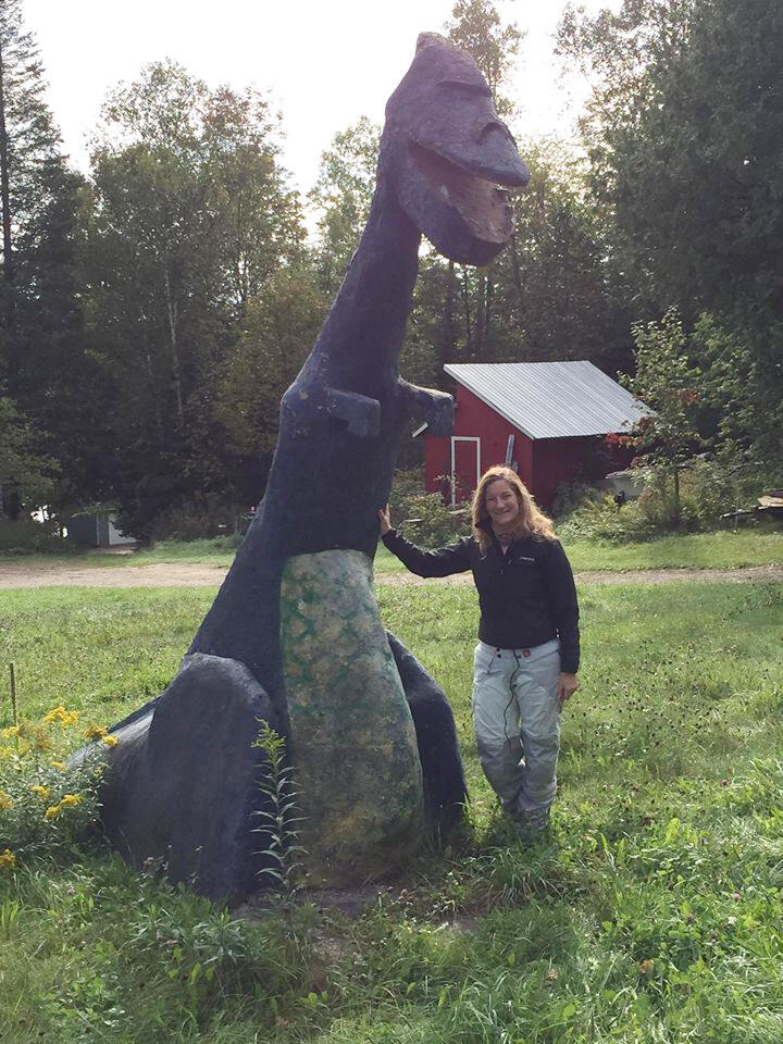 JR Dinosaur 1