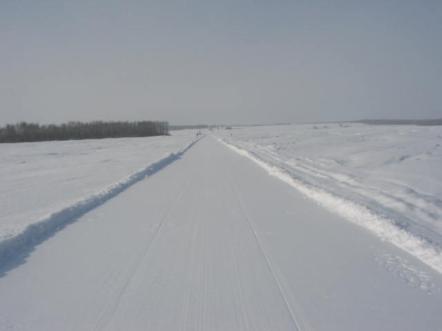 Picture_186