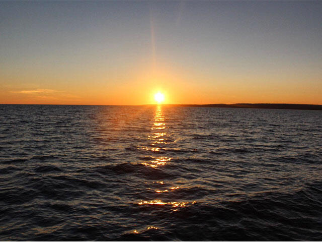 NCarriere - Sunset