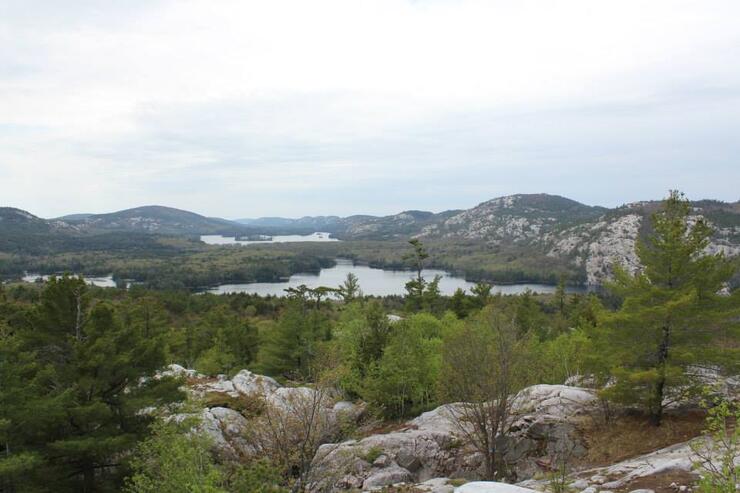 The Crack trail- Killarney