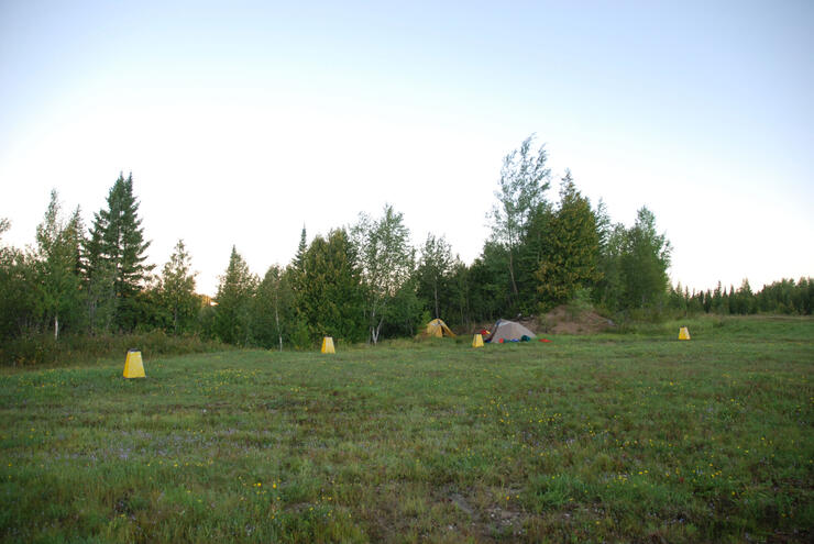 timmins 17