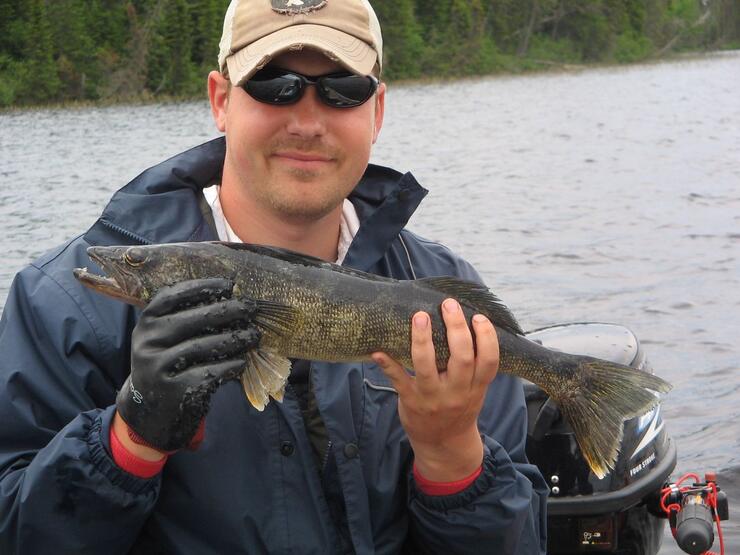 Pickerel