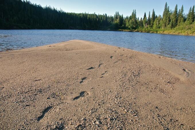 timmins 11-resize