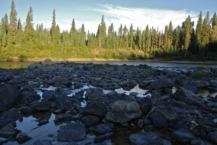 timmins 7
