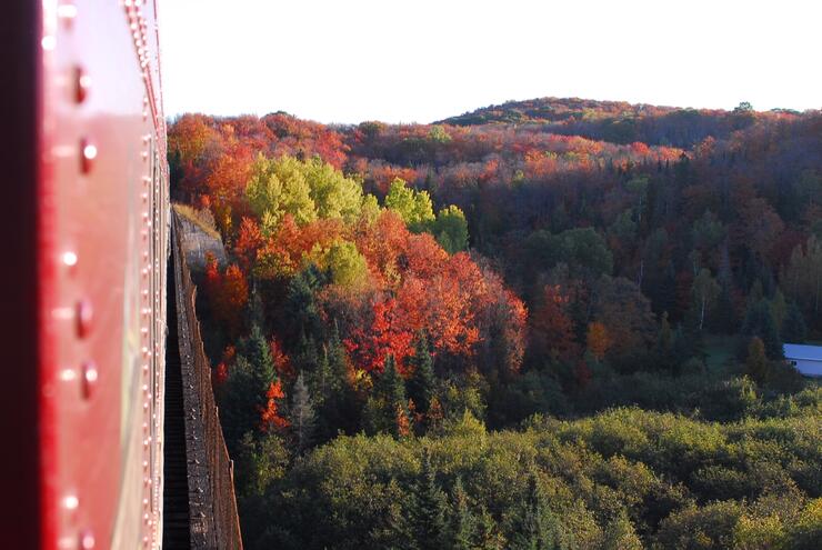 On Bellevue Valley Trestle