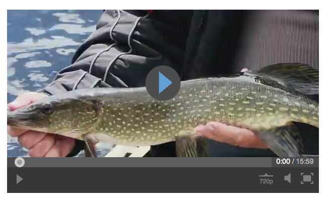 Screen Shot 2015-06-22 at 2.46.03 PM