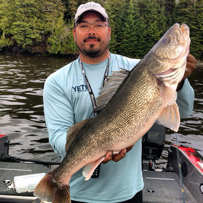Robert Cardenas caught this massive walleye on Wabigoon Lake