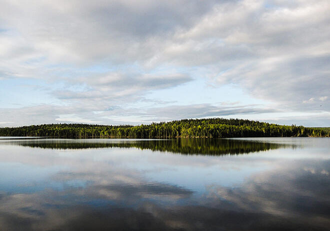 Beautiful Douglas Lake