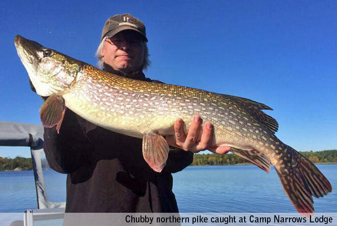 Camp Narrows Pike fishing