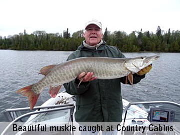 Muskie fishing on Big Vermilion Lake 