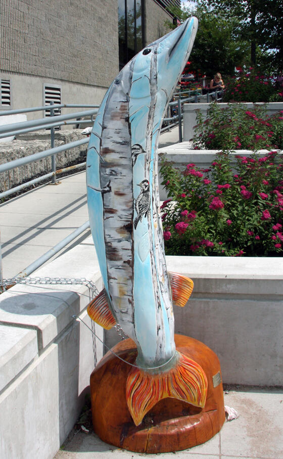 This massive muskie by Carol Henderson depicts the birch we see in Northwest Ontario