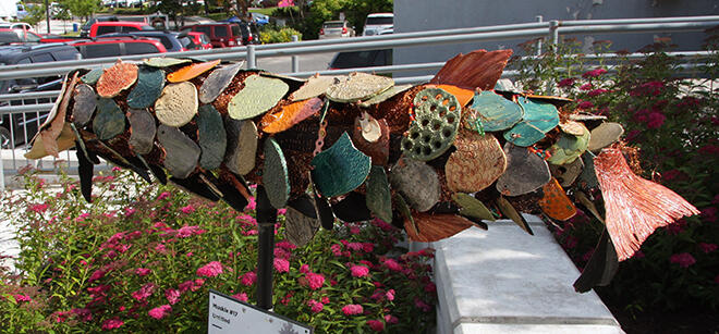 Beautiful colours on the muskie by the Community Arts Hub