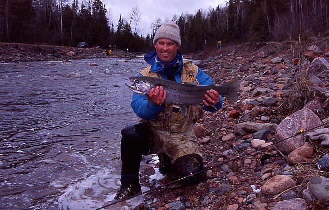 big north shore steelhead
