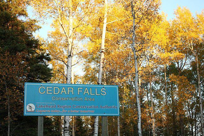 cedar falls sign
